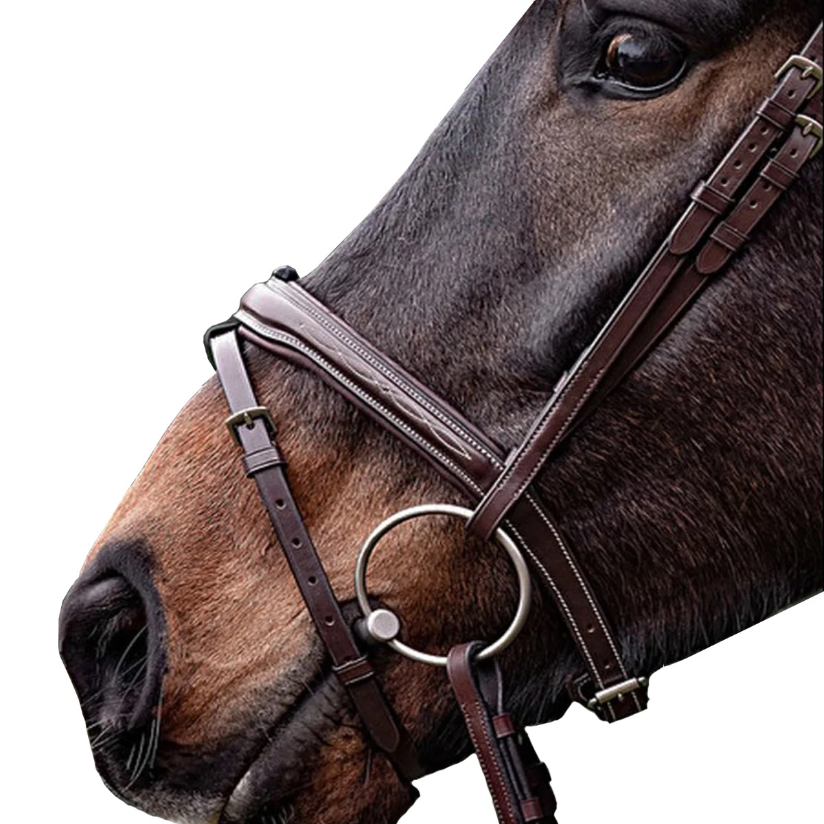Equiline Fancy Stitched Square Cut Noseband 4 Equiline Fancy Stitched Square Cut Noseband - Image 2