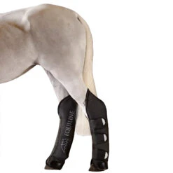 Equiline Rex Travel Boots -Farm Housetack Store Equiline Rex.Travel.Boots Horse