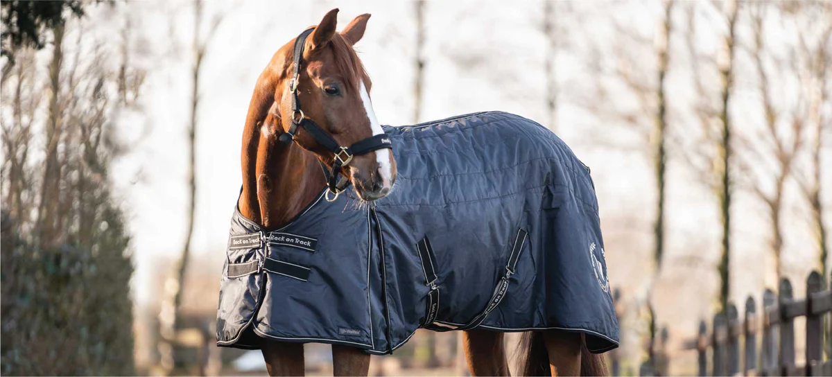 Farm Housetack Store -Farm Housetack Store HORSE 1920x