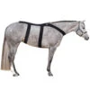 Ice Horse Back Blanket 2 Ice Horse Back Blanket -Farm Housetack Store IH8000V MacKinnon IH.Back .Blanket