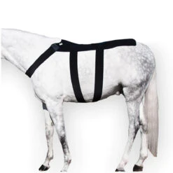 Farm Housetack Store -Farm Housetack Store IH8000V MacKinnon IH.Back .Blanket1