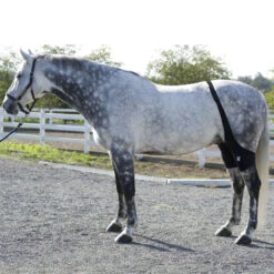 Ice Horse Stifle Wrap -Farm Housetack Store IHF9000V MacKinnon Hock.Wraps2