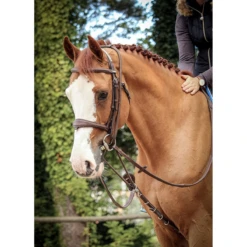 Jump'in Patrick Training Aid 10 Jump'in Patrick Training Aid -Farm Housetack Store JI ENP 2