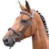 Jump'in Thursday Bridle - Week Collection -Farm Housetack Store Jump.In Thursday.Bridle.1