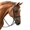 Red Barn By KL Select Icon Hunter Bridle -Farm Housetack Store KL.Select Icon.Bridle