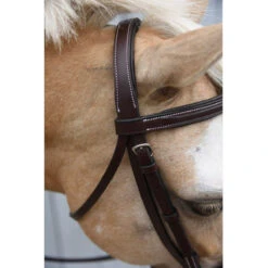 Red Barn By KL Select Icon Hunter Bridle -Farm Housetack Store KL.Select Icon.Bridle Detail