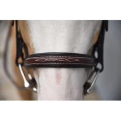 Red Barn By KL Select Icon Hunter Bridle -Farm Housetack Store KL.Select Icon.Bridle Detail.2