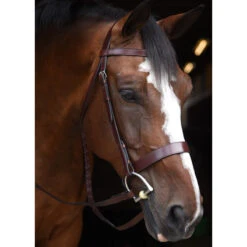Black Oak By KL Select Foxtrot Hunt Bridle -Farm Housetack Store KL 1118 FoxtrotHunter