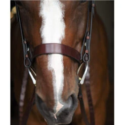 Black Oak By KL Select Foxtrot Hunt Bridle -Farm Housetack Store KL 1118 FoxtrotHunter2