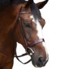 Black Oak By KL Select Foxtrot Hunt Bridle -Farm Housetack Store KL 1118 FoxtrotHunter 653b51bb cc88 48e9 b08e 455e92826998