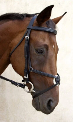Nunn Finer Fair Hill Figure 8 Bridle -Farm Housetack Store NF8EB 6T