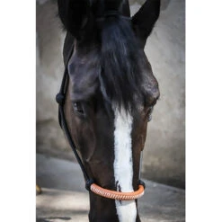 Penelope American Halter -Farm Housetack Store Pen AmericanRope 2