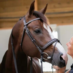 Penelope Daily Bridle 9 Penelope Daily Bridle -Farm Housetack Store Pen Daily 1