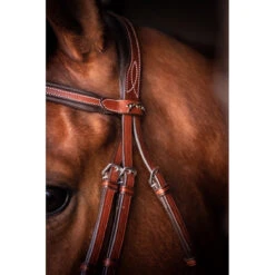 Penelope US Bridle -Farm Housetack Store Pen US 3