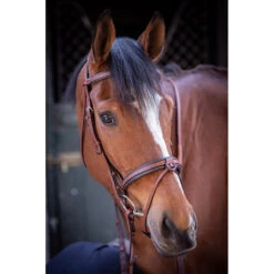 Penelope US Bridle -Farm Housetack Store Pen US 5