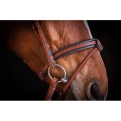 Penelope US Bridle -Farm Housetack Store Pen Us 2