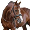 Penelope Daily Bridle -Farm Housetack Store Penelope Daily.Bridle