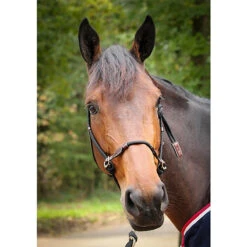 Penelope Rope Halter