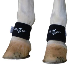 Professional's Choice 2XCool Pastern Wrap