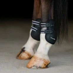 Equifit Prolete Hind Boot With Elastic Straps -Farm Housetack Store Prolete Elastic Tabs 63