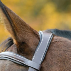 Avignon Ocala Bridle -Farm Housetack Store Shires 50001 2