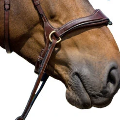 Trust Falsterbo Bridle -Farm Housetack Store Trust.Falsterbo.Bridle Brown Front.3