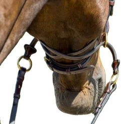 Trust Falsterbo Bridle -Farm Housetack Store Trust.Falsterbo.Bridle Brown Front.4