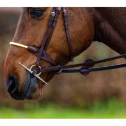 Trust St. Gallen Rope Bridle -Farm Housetack Store Trust St.Gallen.Rope .Bridle E18108 Brown.Silver 1