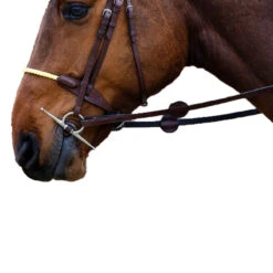 Trust St. Gallen Rope Bridle