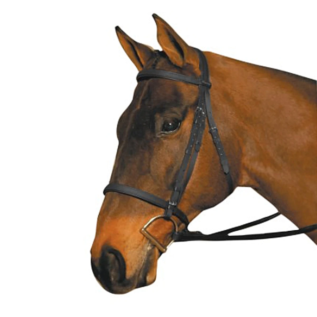 Wintec English Bridle 3 Wintec English Bridle