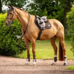 LeMieux Puissance Suede Close Contact Square Pad 16 LeMieux Puissance Suede Close Contact Square Pad -Farm Housetack Store a4098d8f 862f 4637 bd6a 11cc2307a934