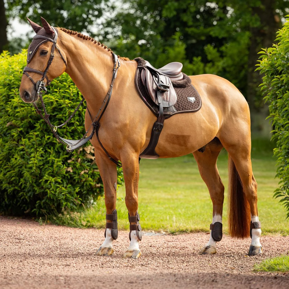 LeMieux Puissance Suede Close Contact Square Pad 6 LeMieux Puissance Suede Close Contact Square Pad - Image 4