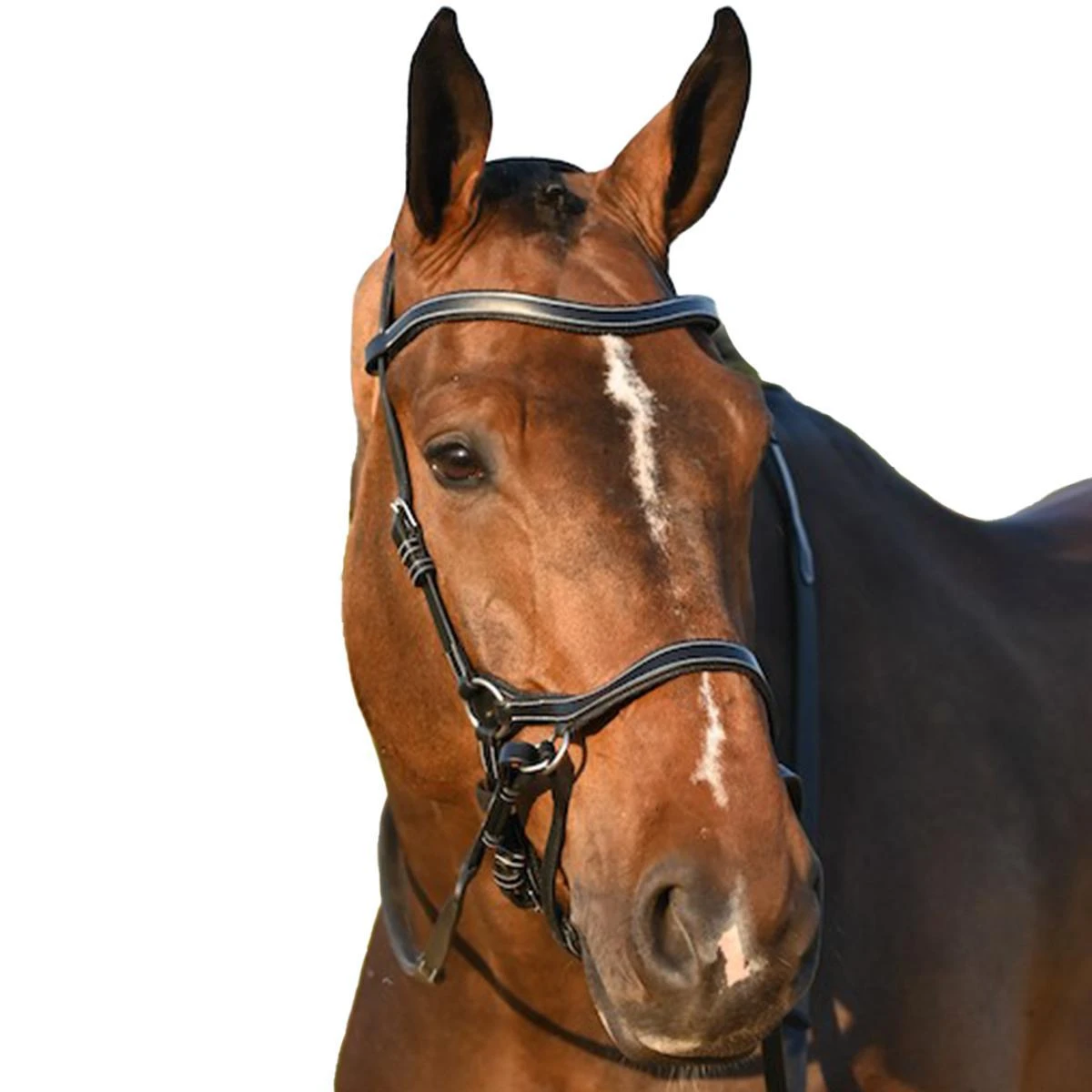 Jump'in Bitless Bridle - One Collection 4 Jump'in Bitless Bridle - One Collection - Image 2
