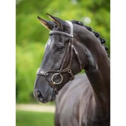 LeMieux Kudos Clear Arc Bridle -Farm Housetack Store a7dd003c9071ff634cd7b2ba4ebd9b05