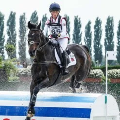 LeMieux Cotton Close Contact Square Pad 29 LeMieux Cotton Close Contact Square Pad -Farm Housetack Store ad4c2047 a3a9 4fb2 81d9 e4f2880b8351