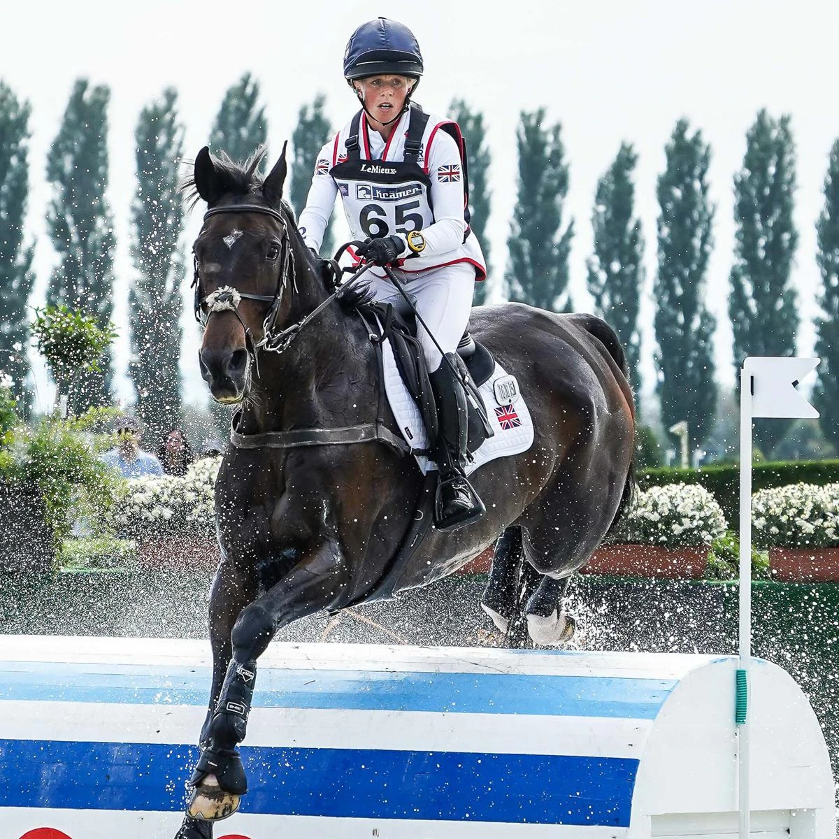 LeMieux Cotton Close Contact Square Pad 12 LeMieux Cotton Close Contact Square Pad - Image 10