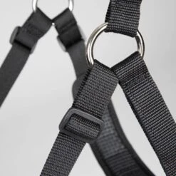 FreeGraze Comfort Grazing Muzzle -Farm Housetack Store b398d730 a9a7 4ab4 b9bf b0714666be3e