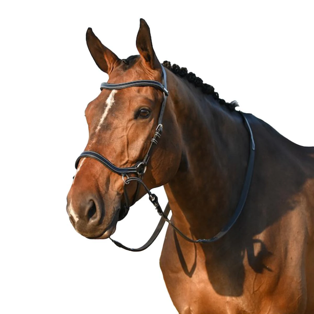 Jump'in Bitless Bridle - One Collection 3 Jump'in Bitless Bridle - One Collection