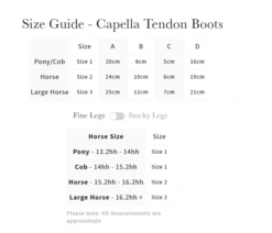 LeMieux Capella Tendon Boots 30 LeMieux Capella Tendon Boots -Farm Housetack Store ba8c8ec37035bfda55cd89854ff0443b