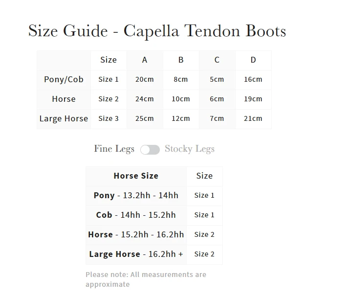 LeMieux Capella Tendon Boots 13 LeMieux Capella Tendon Boots - Image 11