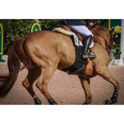 Equifit BellyBand -Farm Housetack Store band4 61409.1590075654.1280.1280