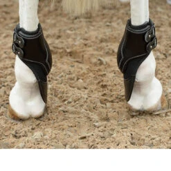 Equifit ImpacTeq Liners For Extended Hind Boot -Farm Housetack Store black2 05059.1590073273.1280.1280