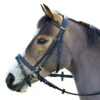 Wintec English Bridle With Flash Noseband -Farm Housetack Store black3 94565.1586445749.1280.1280