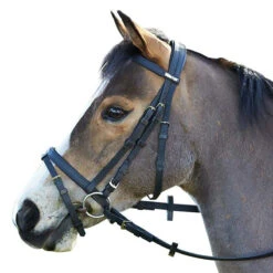 Wintec English Bridle With Flash Noseband
