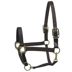 Perri's Premium Nylon Safety Halter 16 Perri's Premium Nylon Safety Halter -Farm Housetack Store black 53938.1588257174.1280.1280