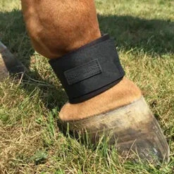 Equifit Neoprene Pastern Band Velcro Closure -Farm Housetack Store boot2 35441.1589905996.1280.1280