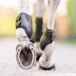 EquiFit Eq-Teq Hind Boot 15 EquiFit Eq-Teq Hind Boot -Farm Housetack Store boots2 27406adf dcf7 4644 b134 b0e8f1c65bf4