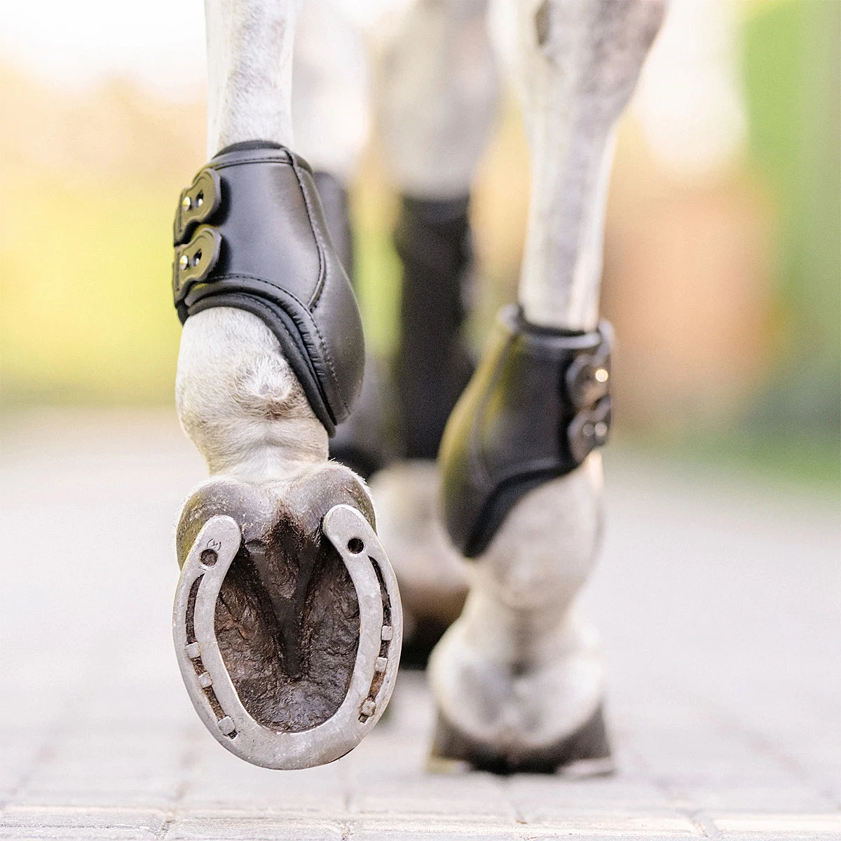 EquiFit Eq-Teq Hind Boot 9 EquiFit Eq-Teq Hind Boot - Image 7