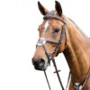 Prestige 3E080 Leather Bridle With Figure 8 Noseband -Farm Housetack Store bridle