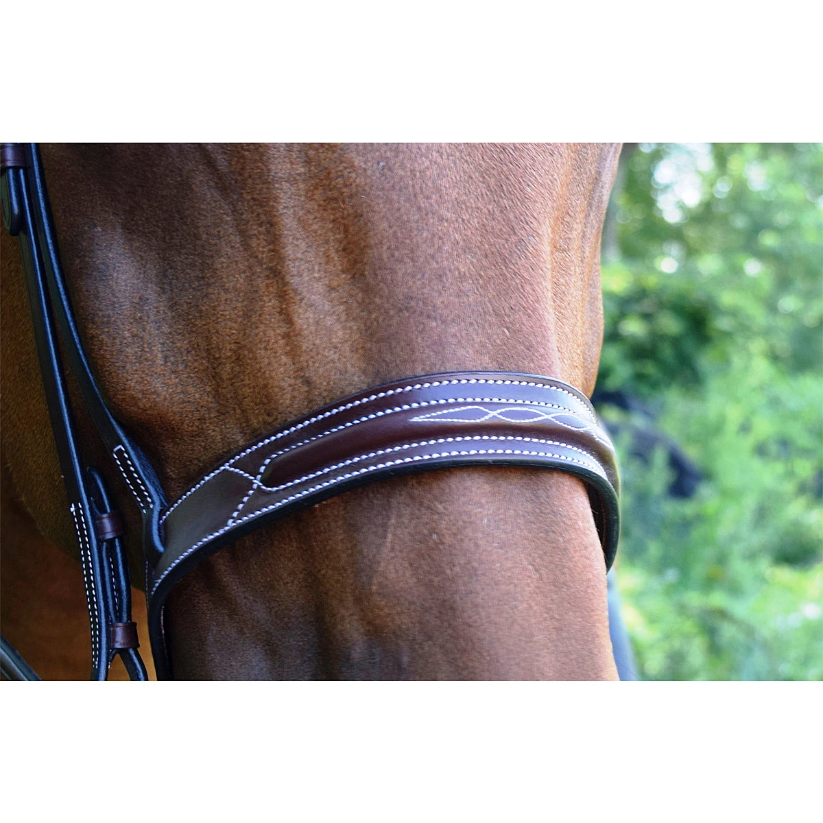 Red Barn By KL Select Sonoma Hunter Bridle 4 Red Barn By KL Select Sonoma Hunter Bridle - Image 2